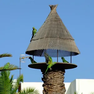 La Kasita In Primavera , Costa del Silencio España